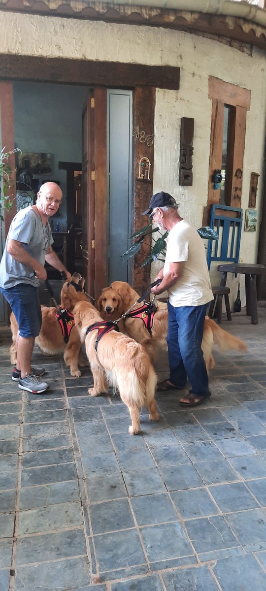 Transporte de pet - São Paulo
