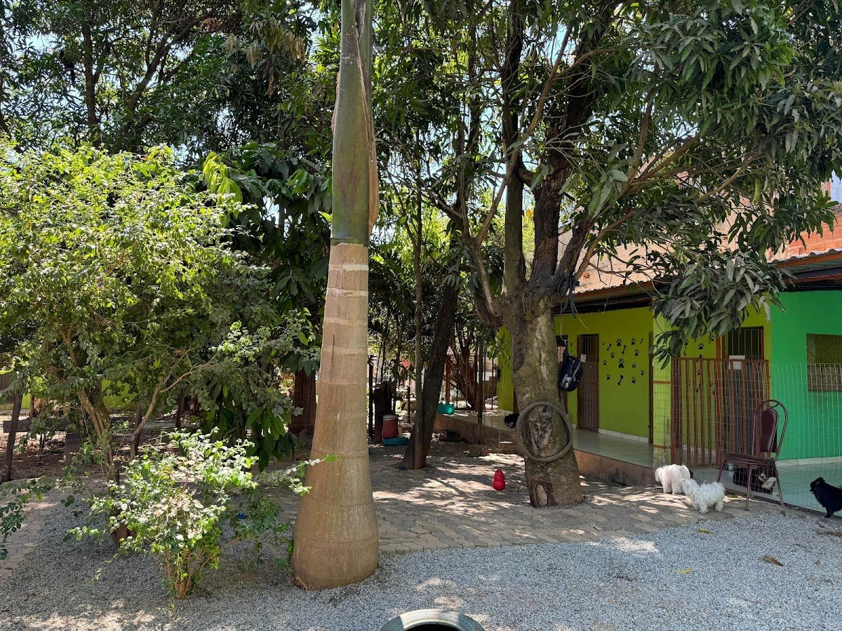 Pêlos e Patas - Hotelzinho domiciliar 