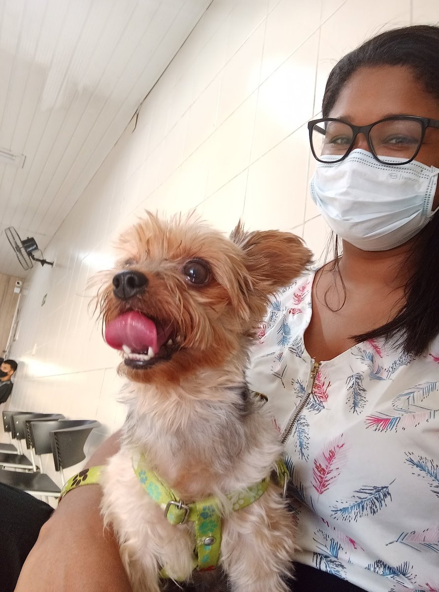 Recanto Animal Clínica Veterinária 