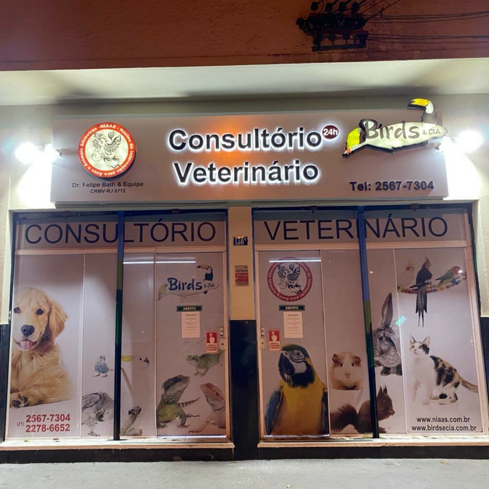 VETERINÁRIA EM DOMICÍLIO - CÃES, GATOS E ANIMAIS SILVESTRES - Pet Shop em Rio de Janeiro