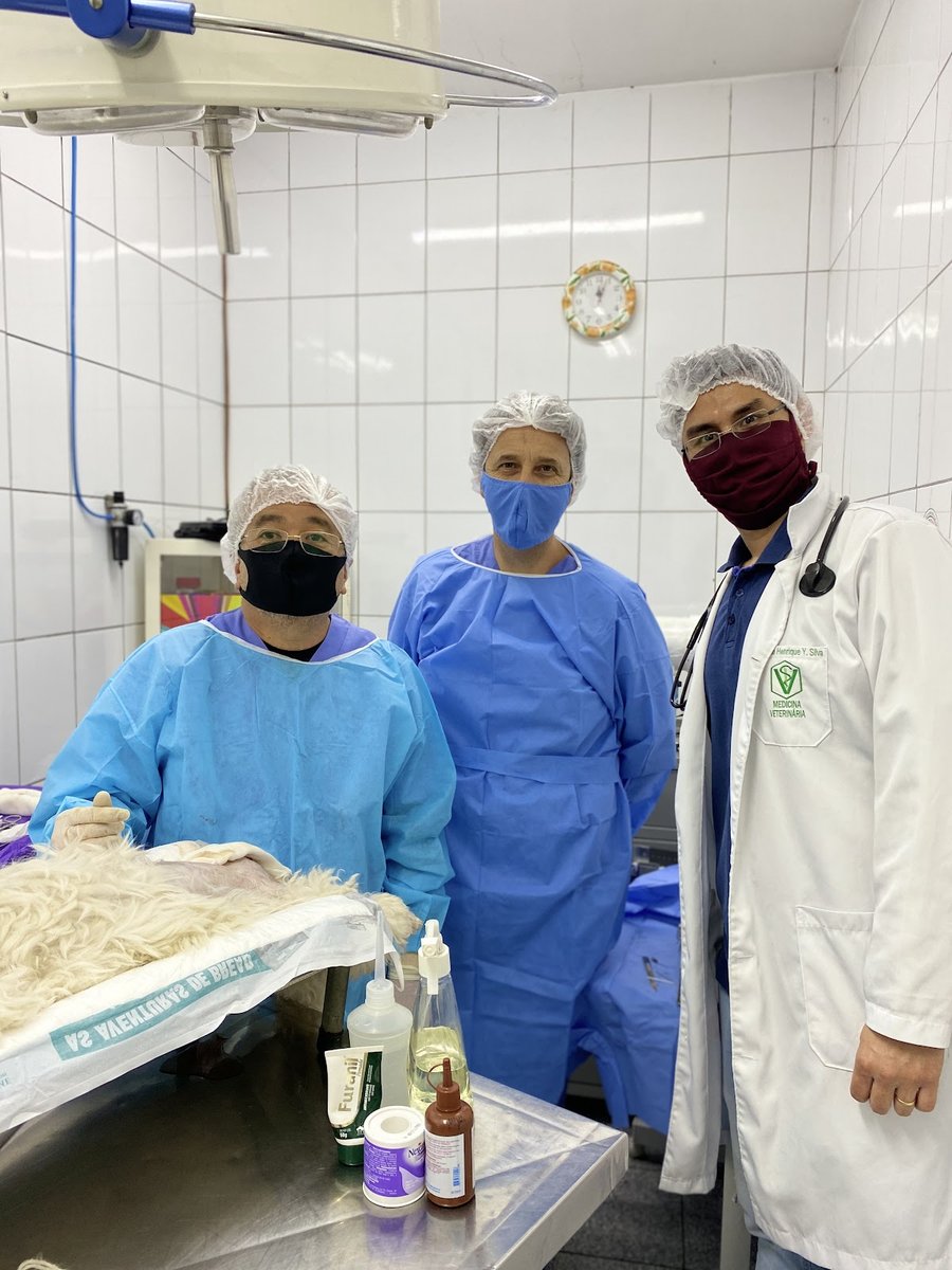 Clinica Veterinária Confiança