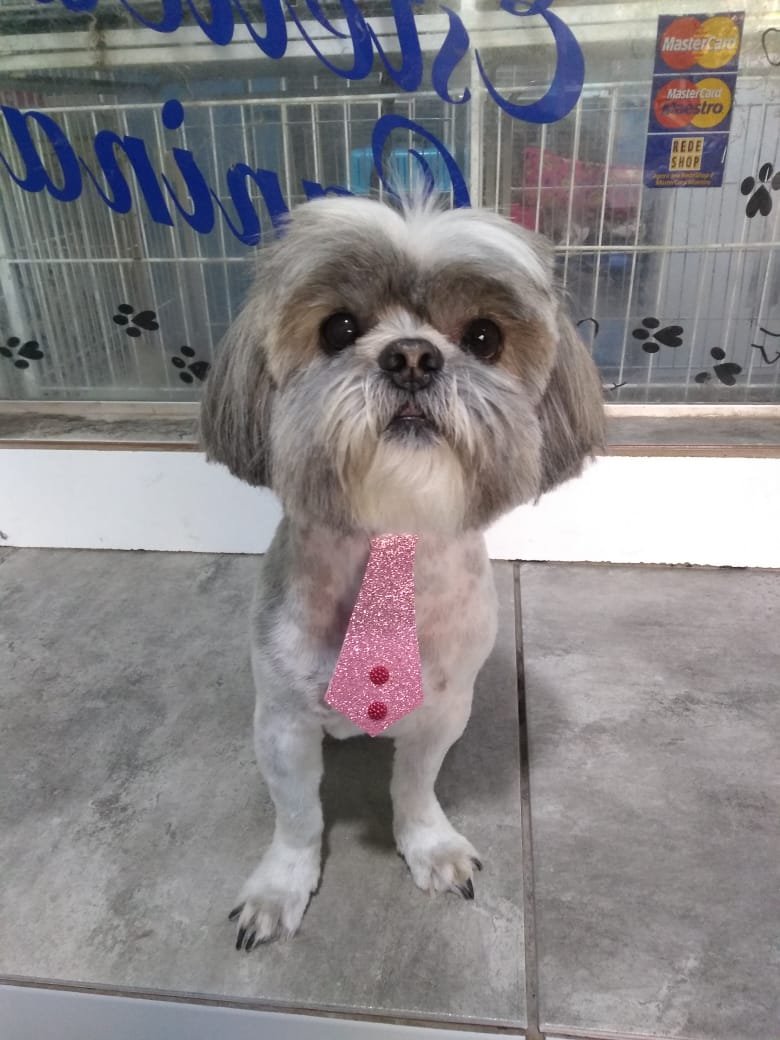 Clínica Veterinária MeGa Animal