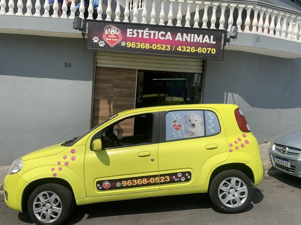 PET AMORE BANHO E TOSA