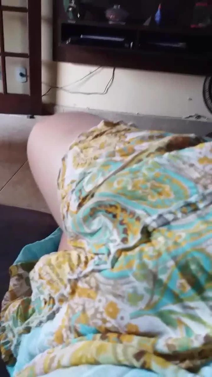 MIMO'S PET HOTEL - BANHO E TOSA