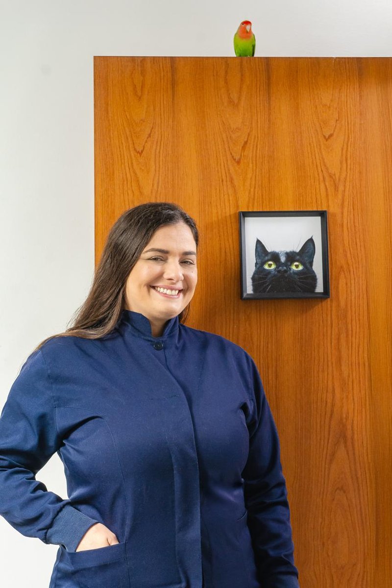 Lilapet - Clínica Veterinária