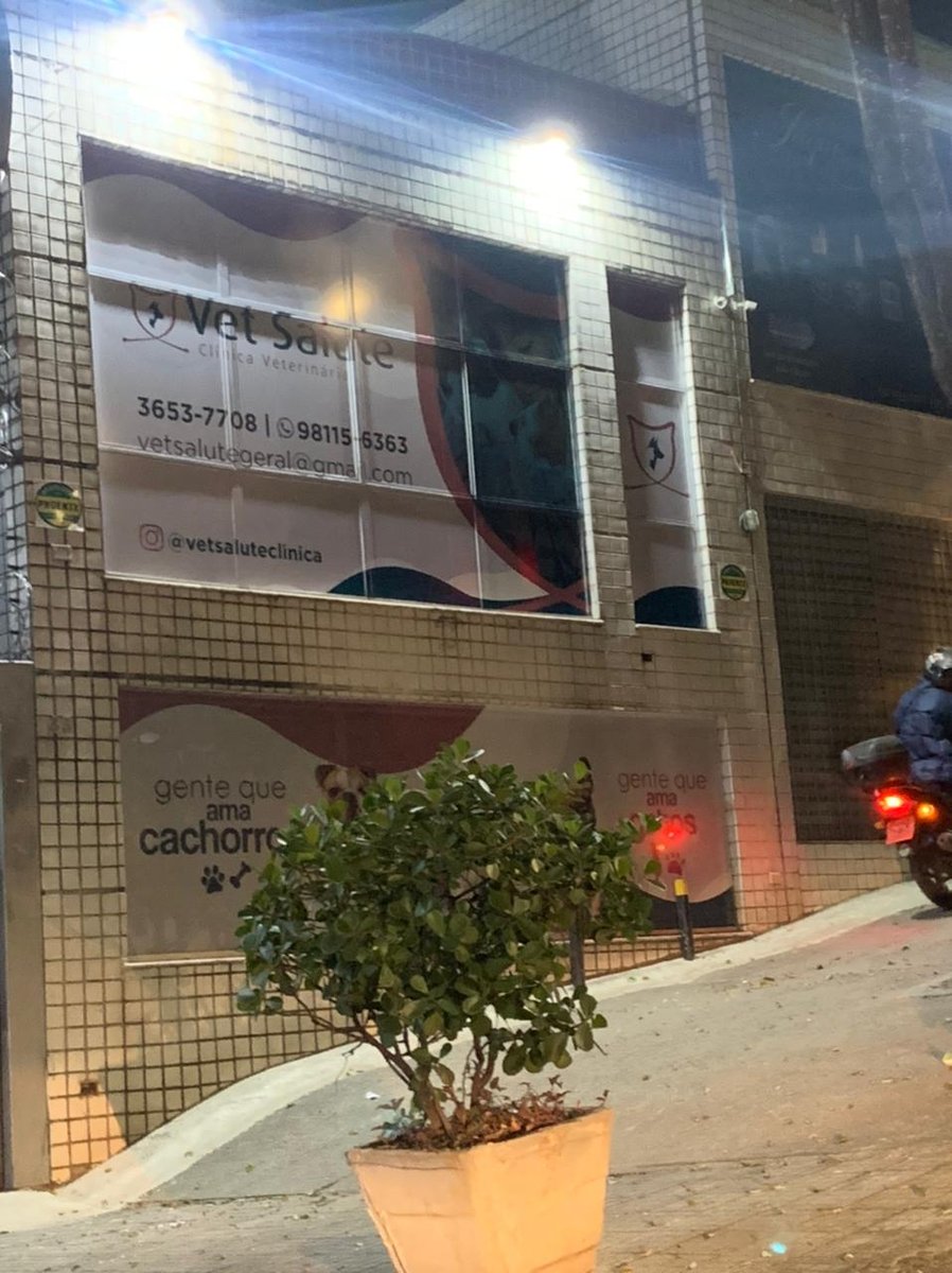 VetSalute Clínica Veterinária 