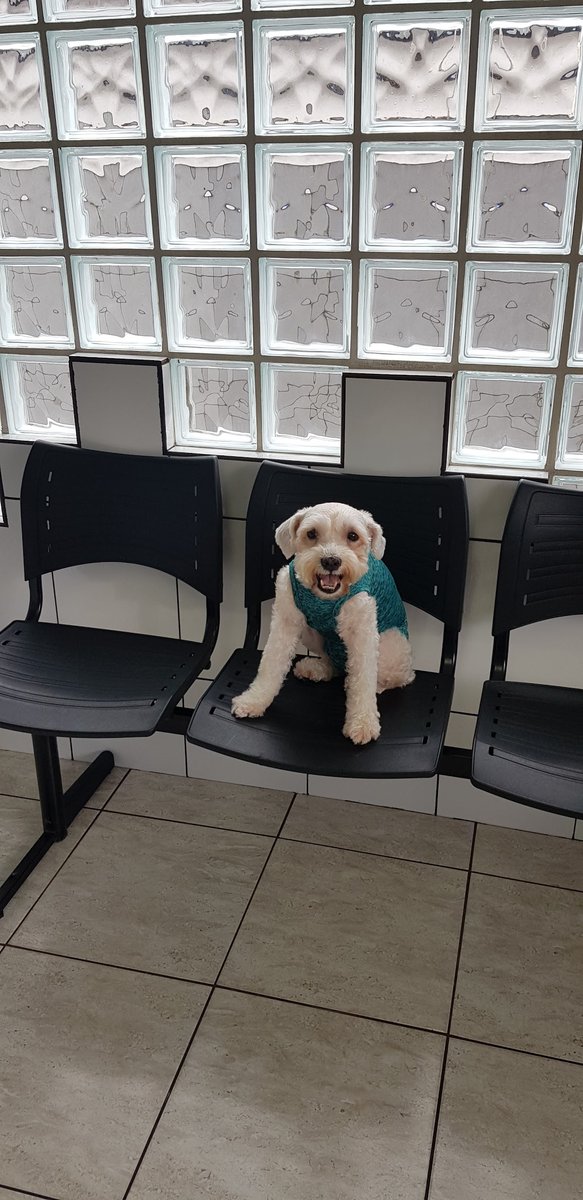 Clínica Veterinária Fênix