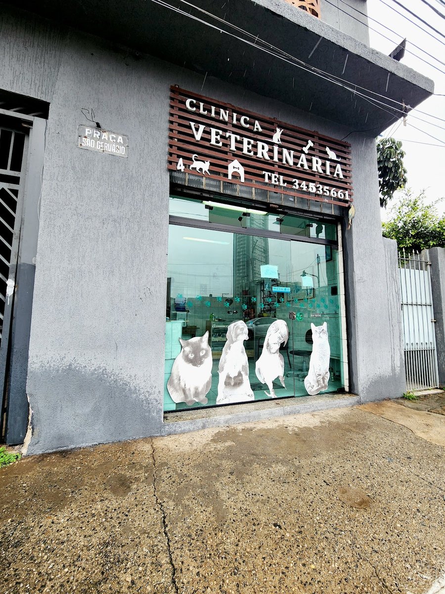 Veterinária Viaduto - Pet Shop em São Paulo