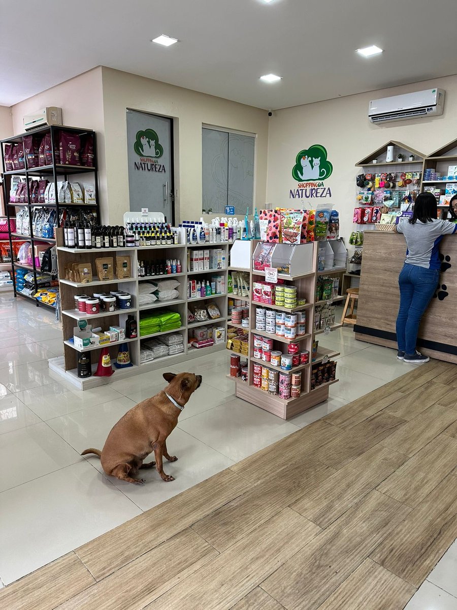 Veterinary Clinic Shopping Nature