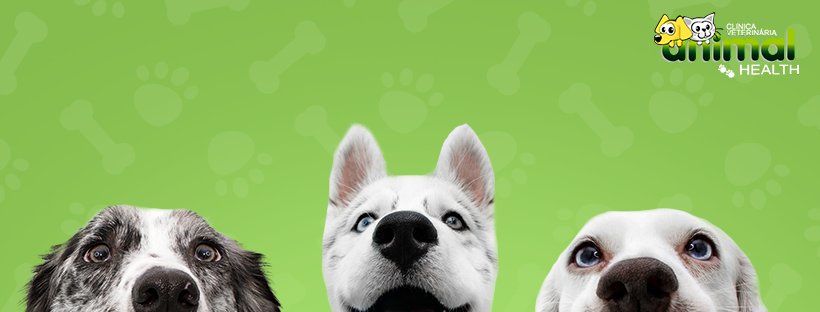 Clínica Veterinária Animal Health - Campos Eliseos - Pet Shop em Manaus