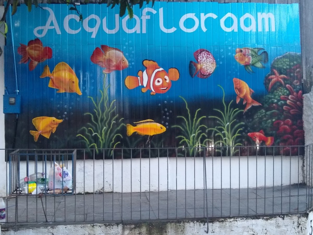 Loja de aquários, peixes ornamentais e Consultório Veterinário AcquaPet - Pet Shop em Manaus