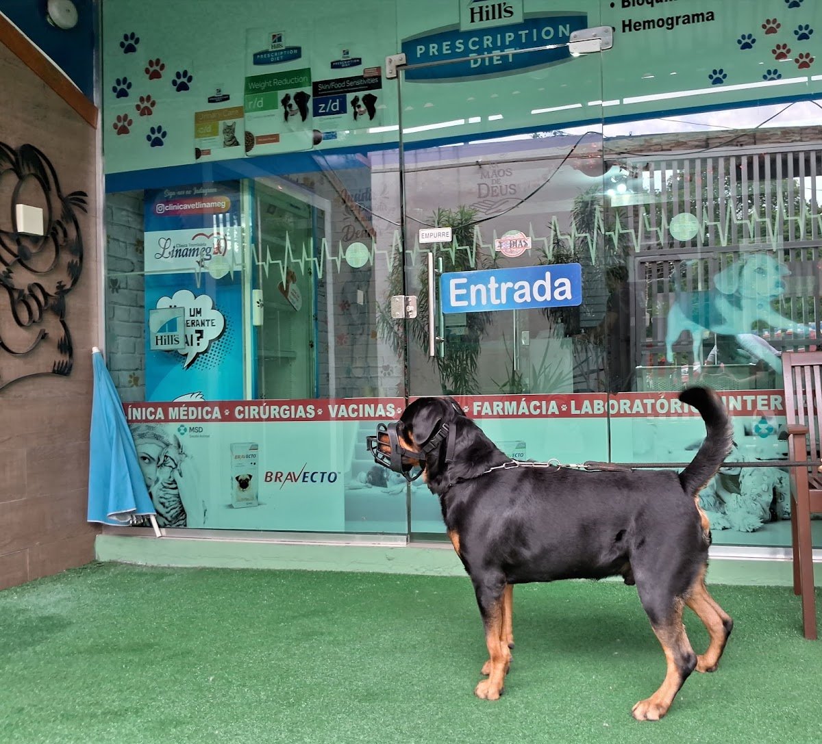 Veterinary clinic Linameg - Pet Shop em Manaus