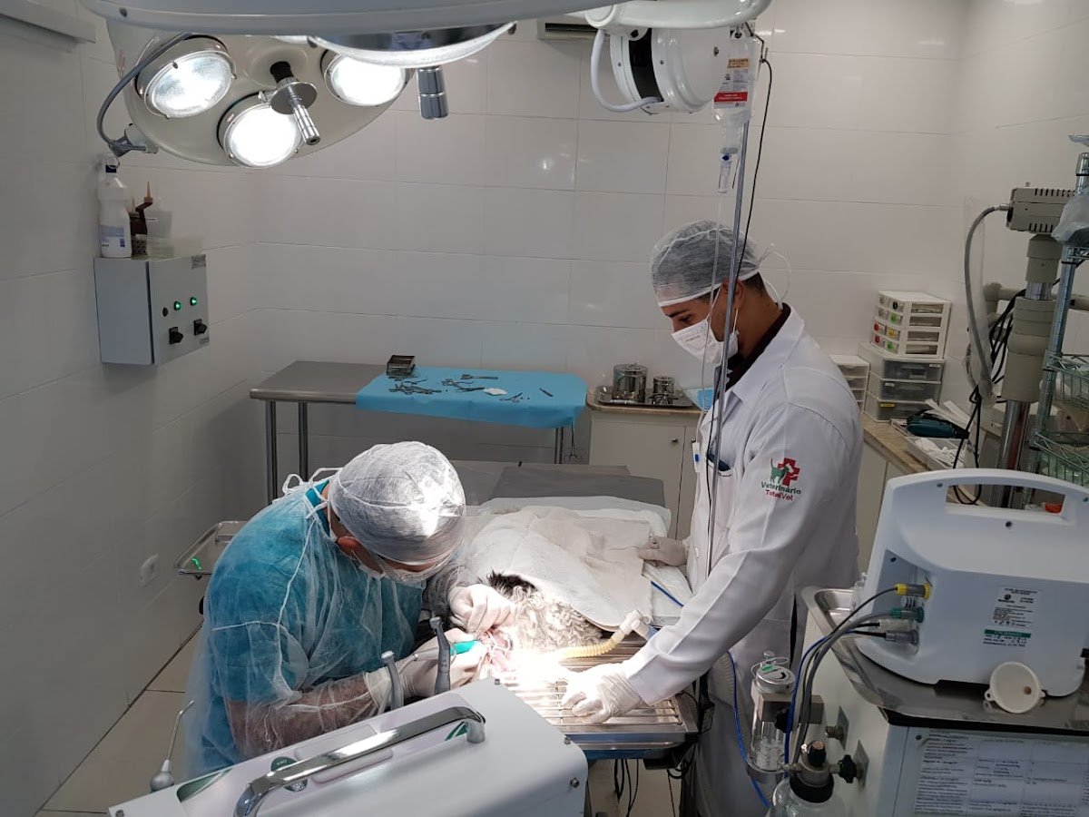 Total veterinarian Vet - Pet Shop em São Paulo