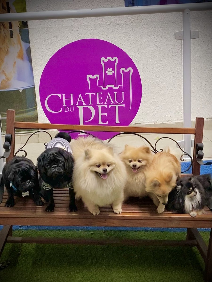 Chateau Du Pet - Pet Shop em São Paulo