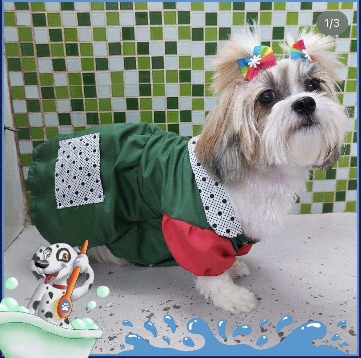 Gomes Mundo Pet Petshop Banho e Tosa Veterinário Unidade Americanópolis