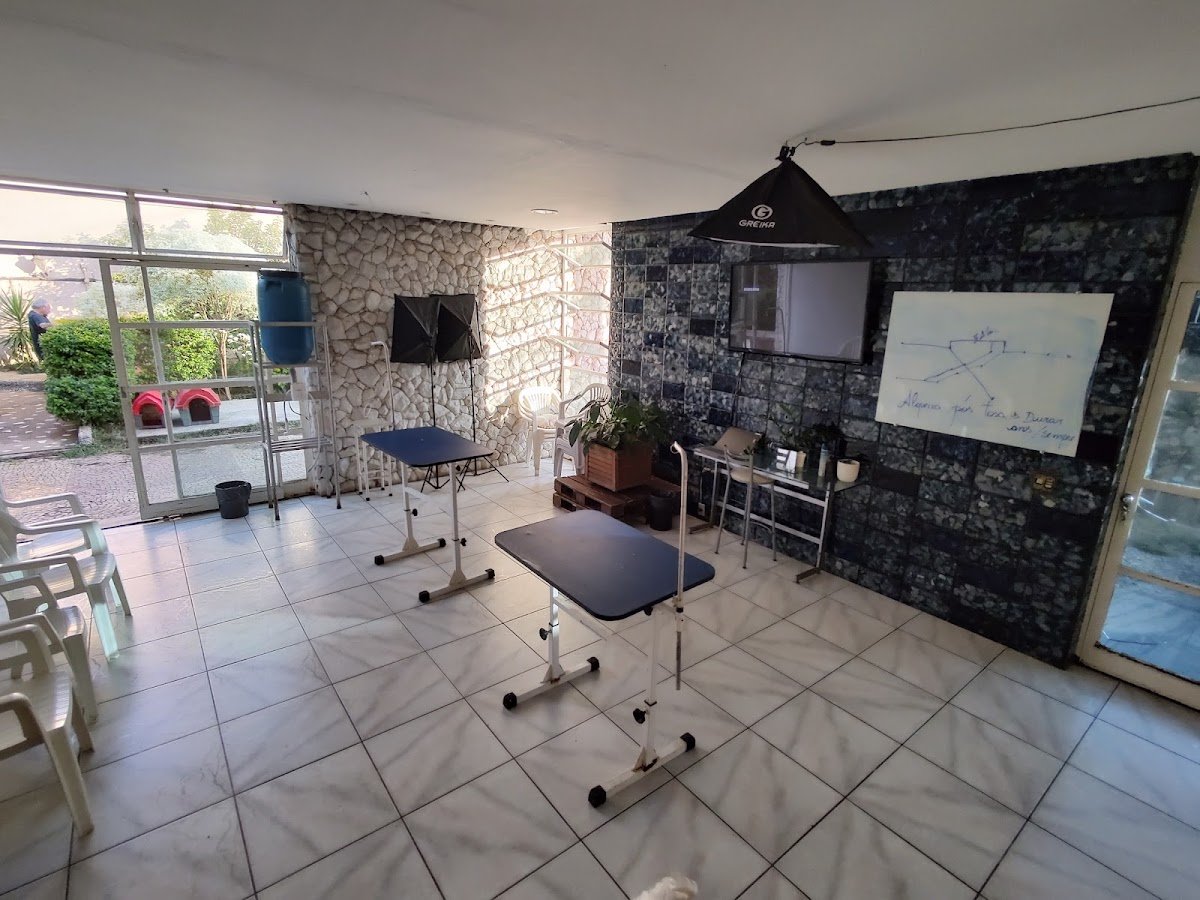 Pet Shop Arca De Noe