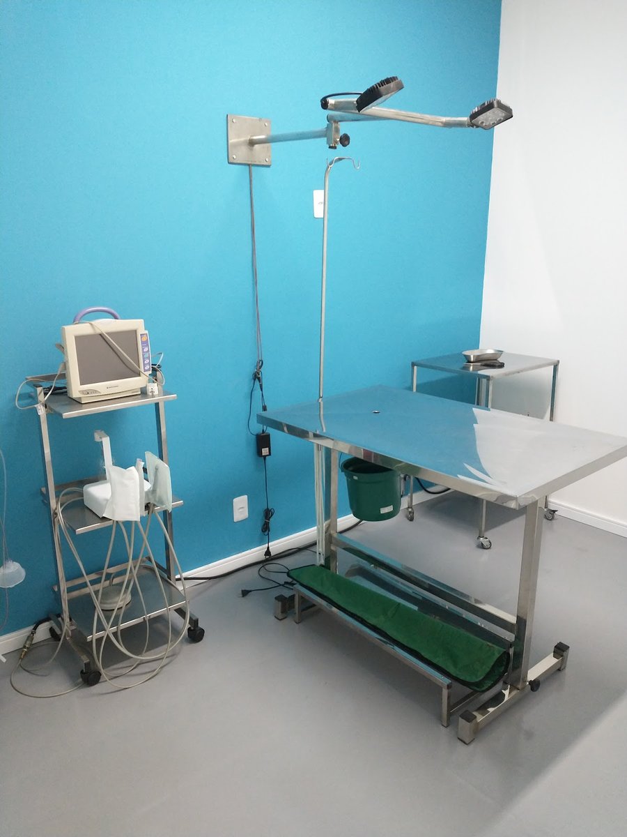 Dr. Ody Clay "Meu Dr.Pet" - Clínica Veterinária