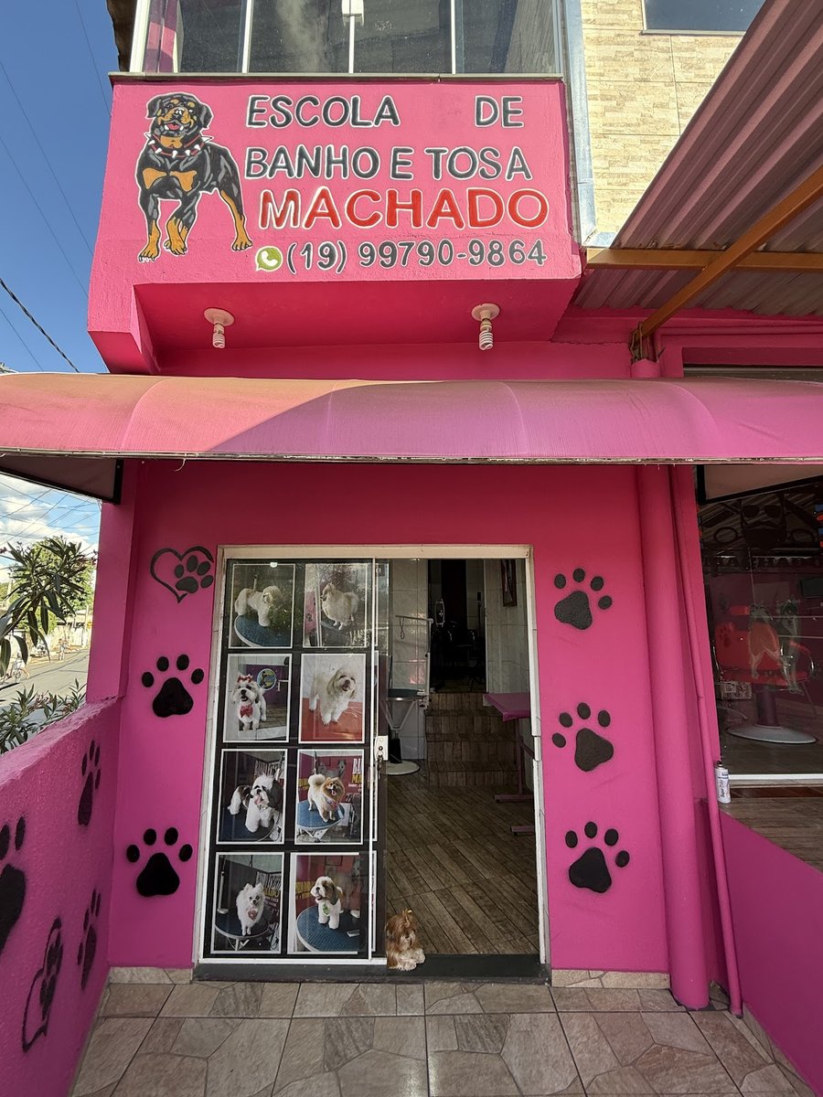 Banho e Tosa Machado