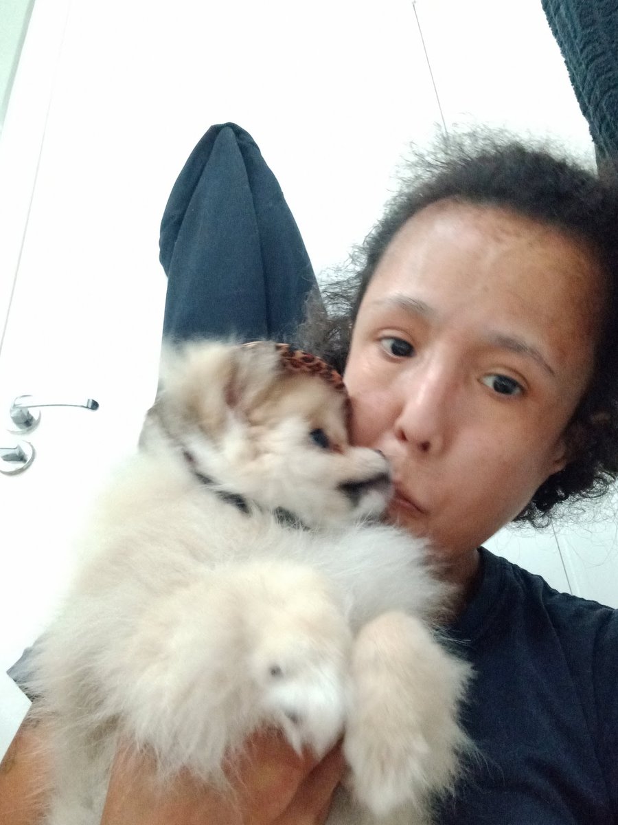 Amo Pets banho e tosa a domicílio ( dentro da casa do cliente)