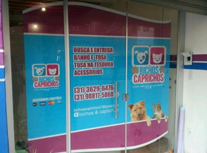Bichos e Caprichos - Pet Shop em Vespasiano