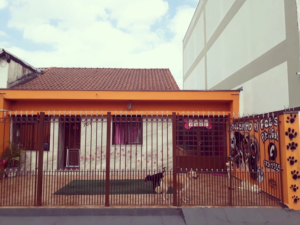 Hotelzinho Pet&Gatô - Pet Shop em São Paulo