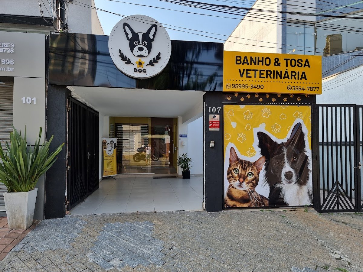 IT DOG Pet shop