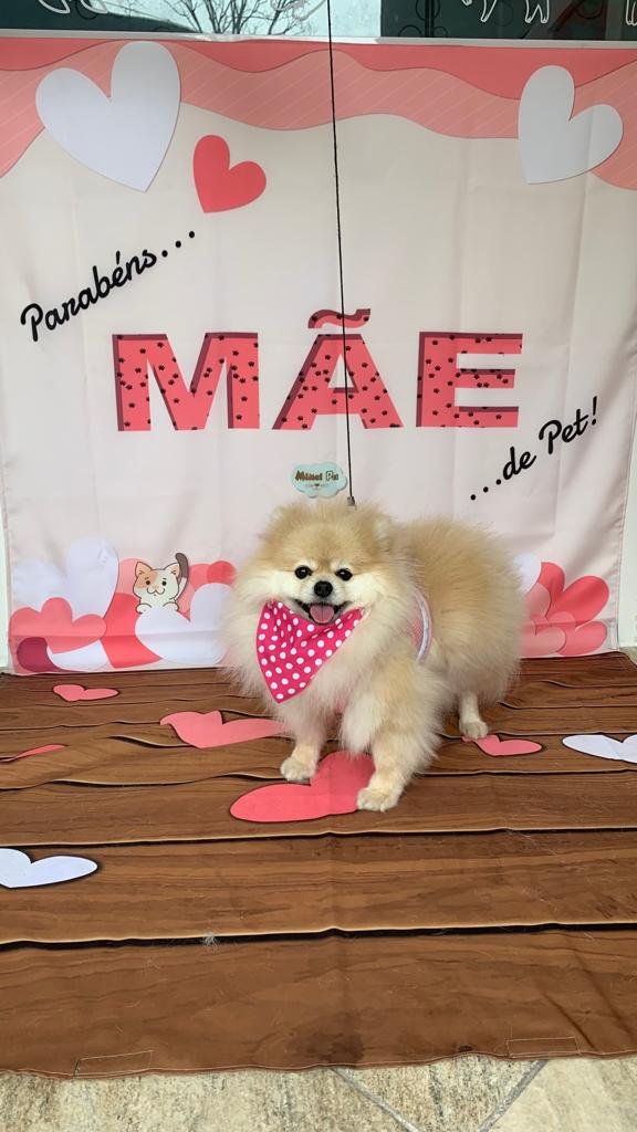 Mimel Pet Banho e Tosa - São Mateus