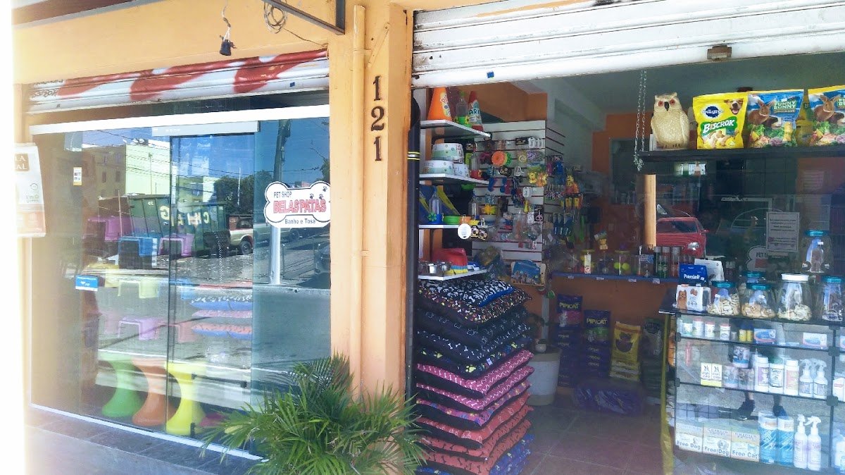 Pet shop Kih fofos banho e tosa moda pet