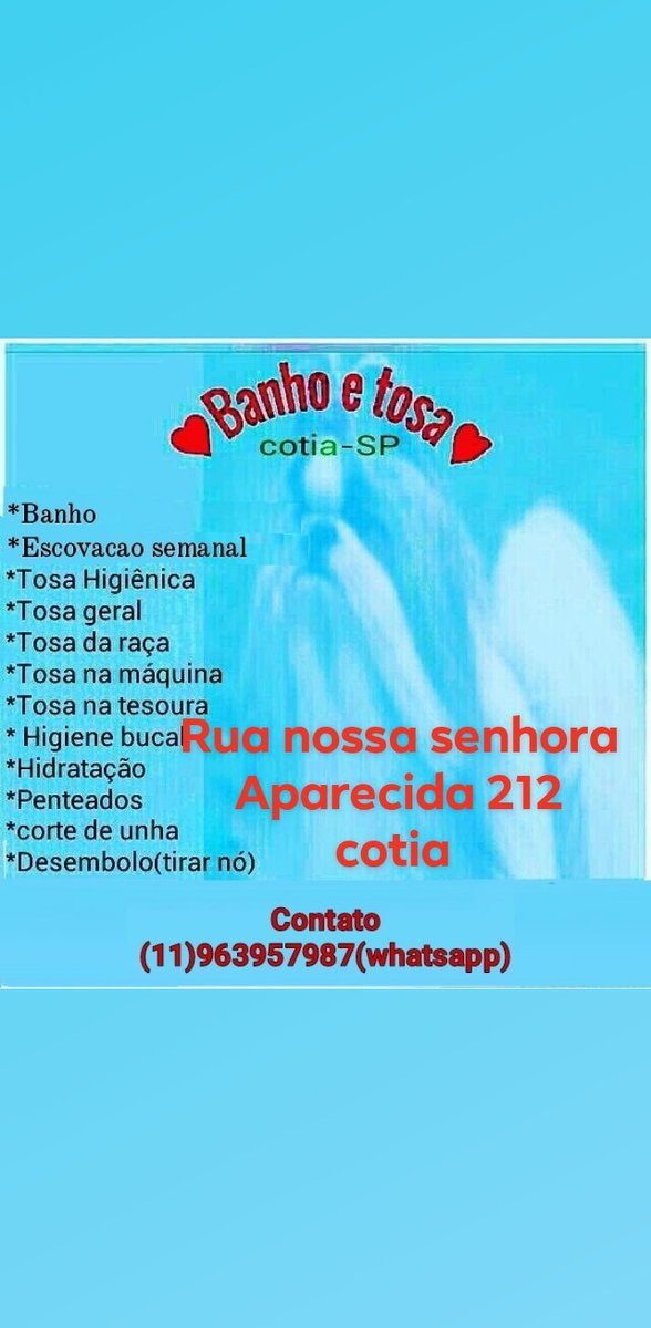Pet shop cotia - Pet Shop em Cotia