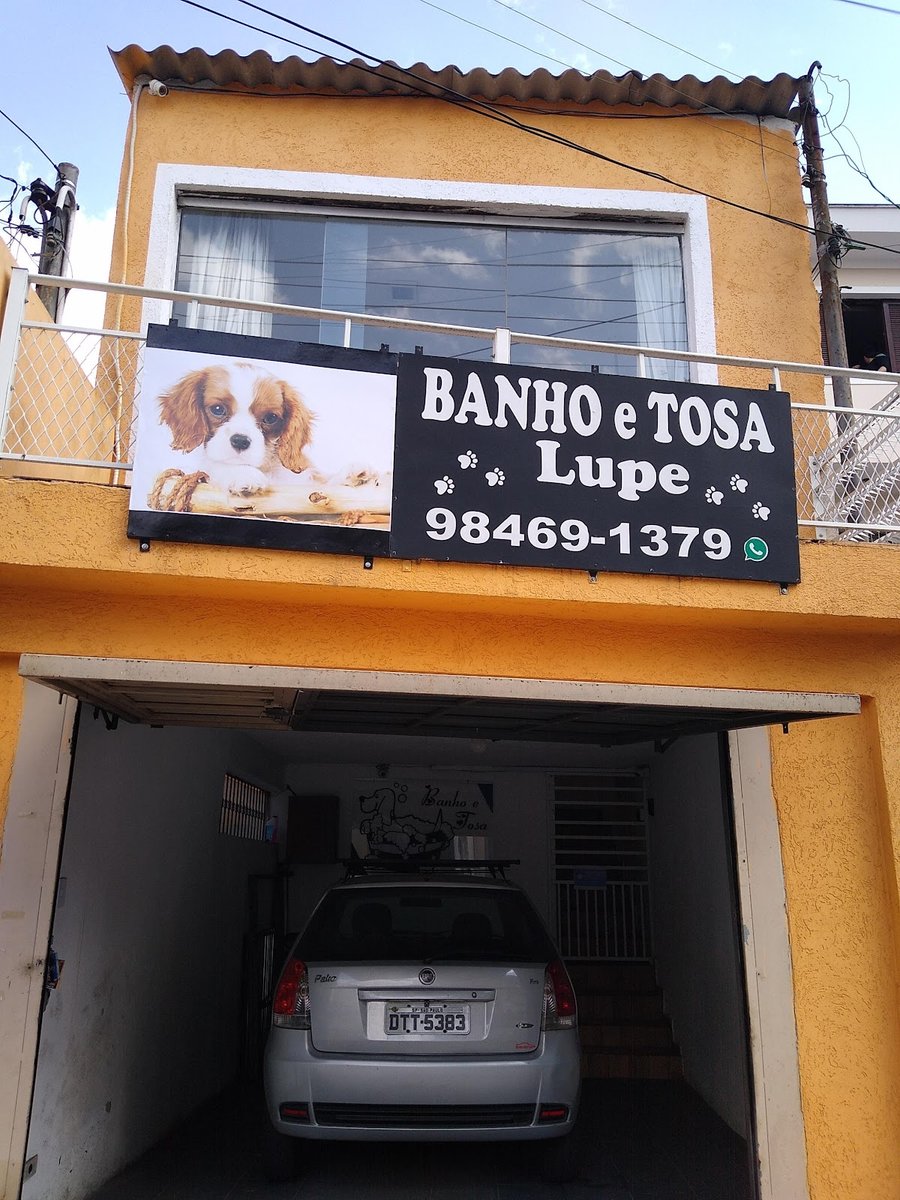 Banho E Tosa Lupe - Pet Shop em São Paulo