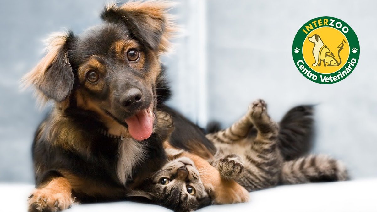 Interzoo Pet Shop - Centro Veterinário