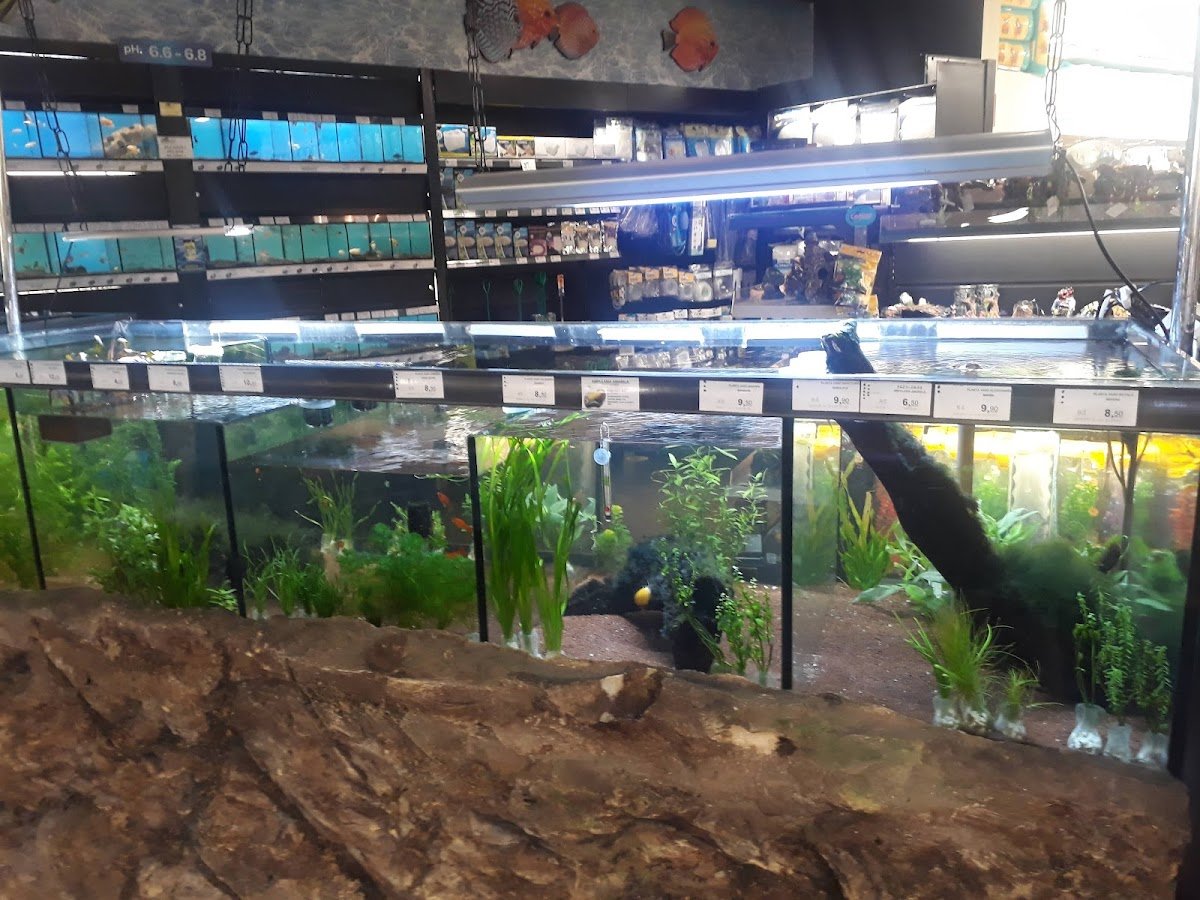 Spet Shopping Interlar: Veterinário, Banho e tosa, Vacinas em São Paulo