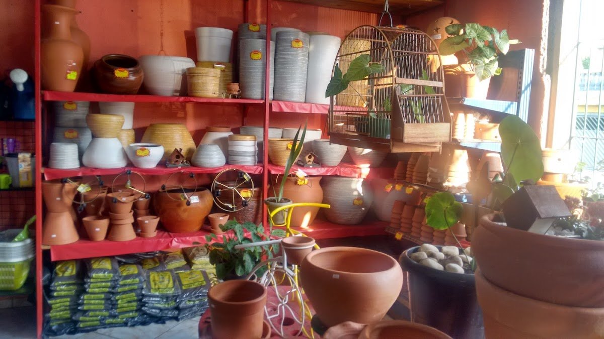 Amigão Banho E Tosa - Pet Shop em São Paulo