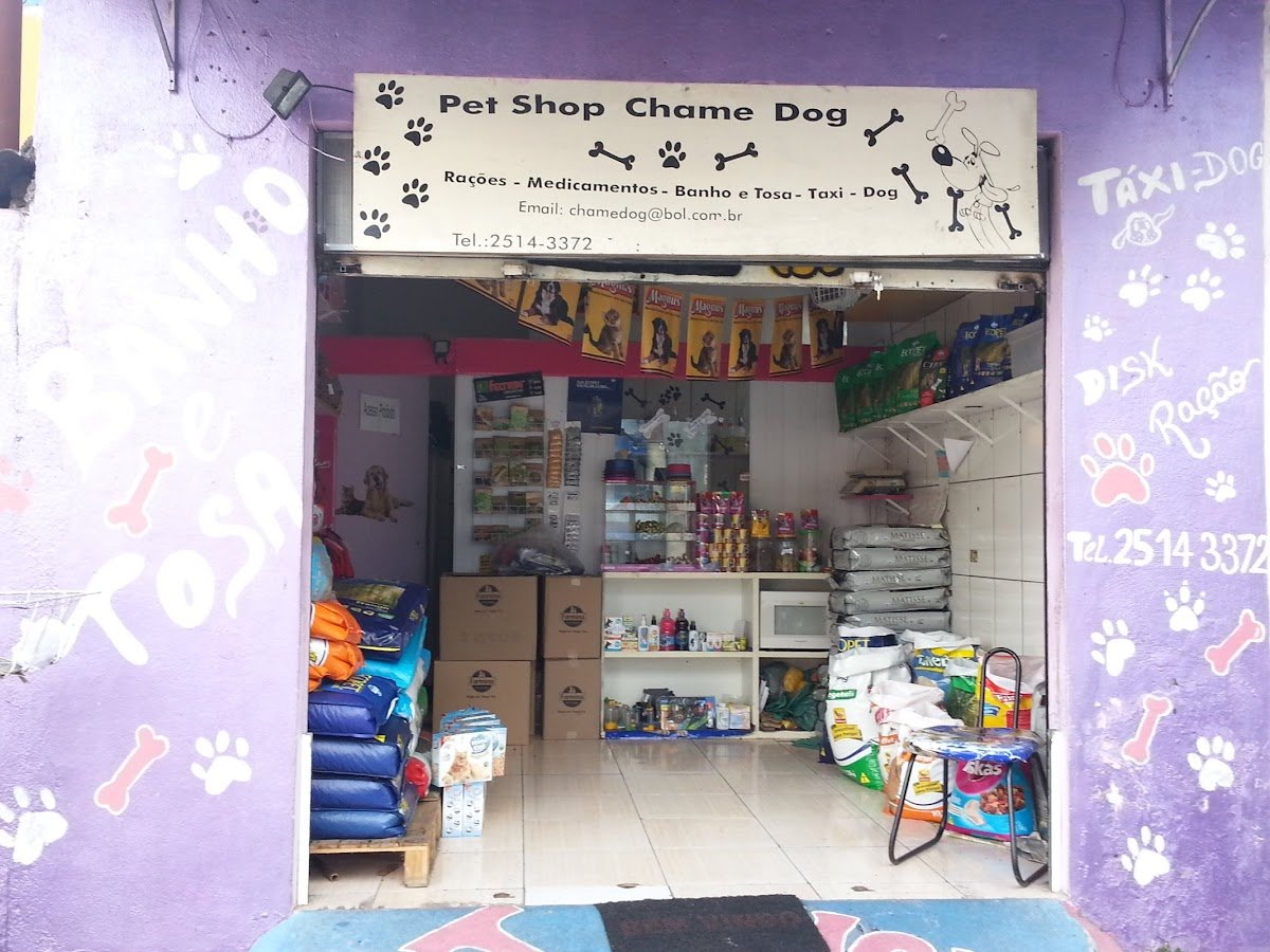 Pet Shop Chama Dog