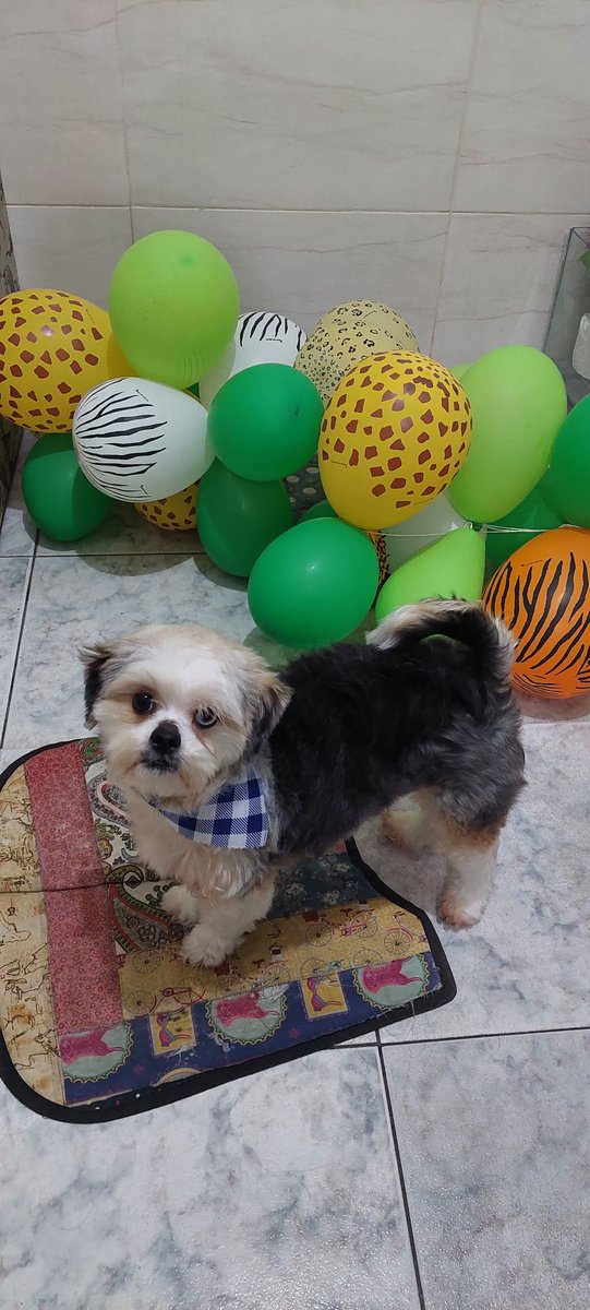 Pets Palace Clinica Veterinária e Banho&Tosa