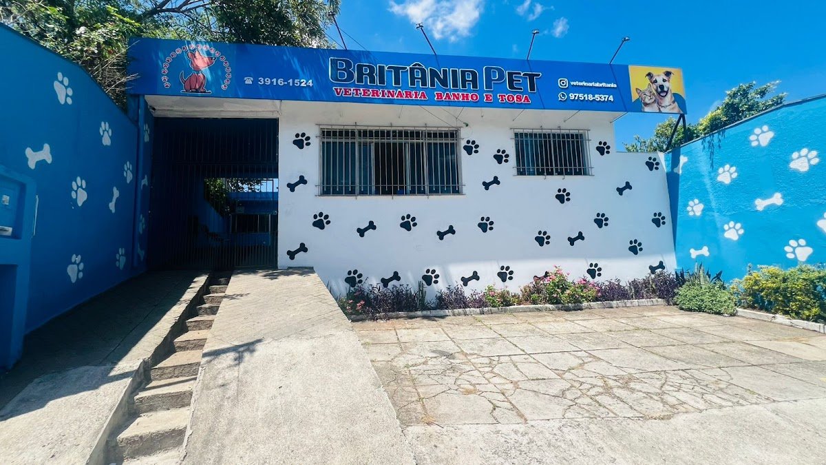 Consultório Veterinário Britânia - Dr. Augusto - São Paulo