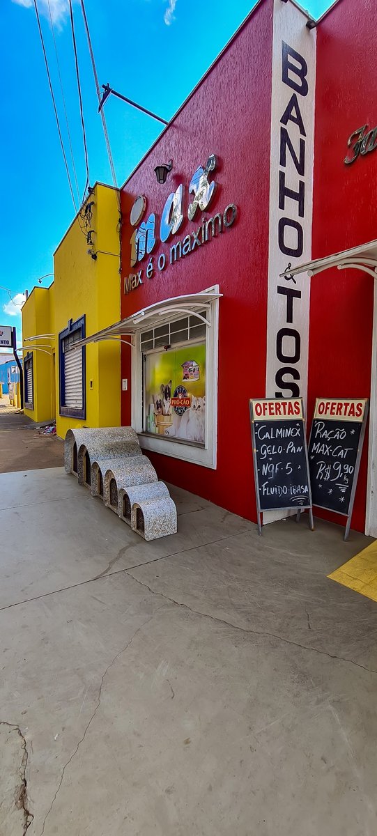 Pro Dog Pet Shop
