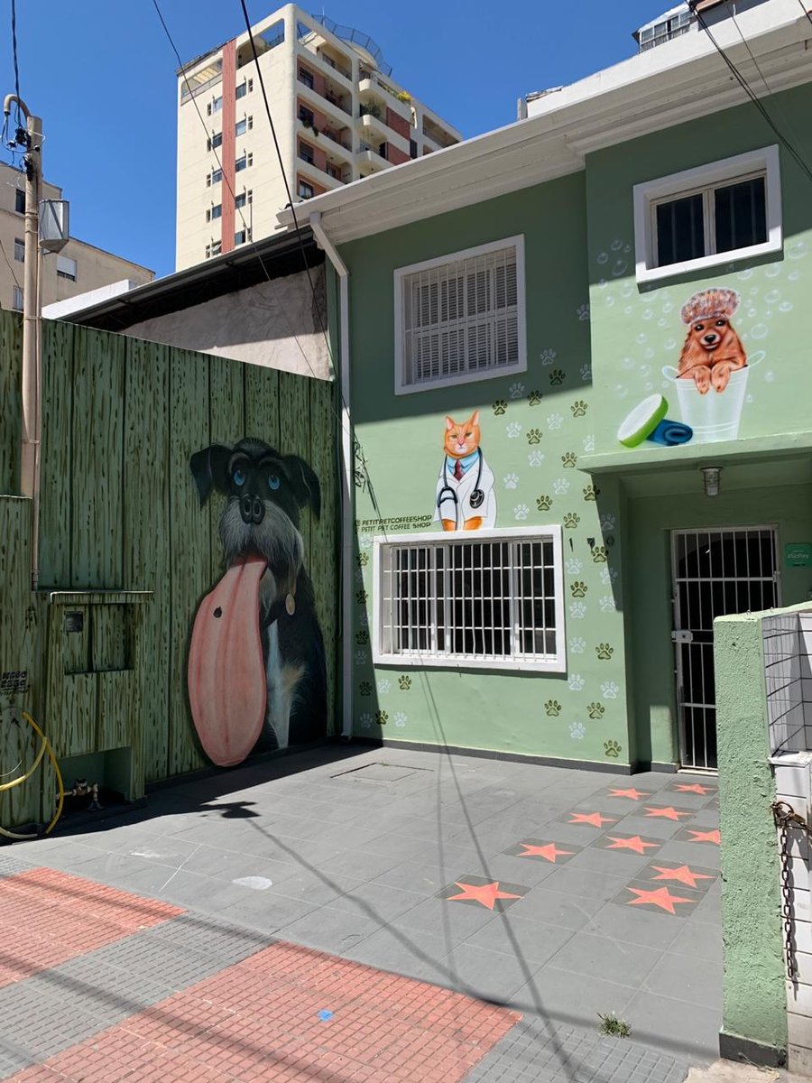 Pet Shop Petit Dog's Casa de Ração Banho e Tosa