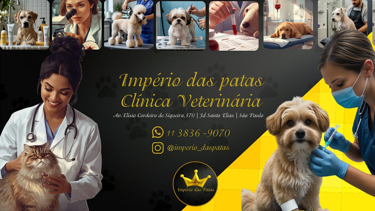 Clinica Veterinária Império das Patas