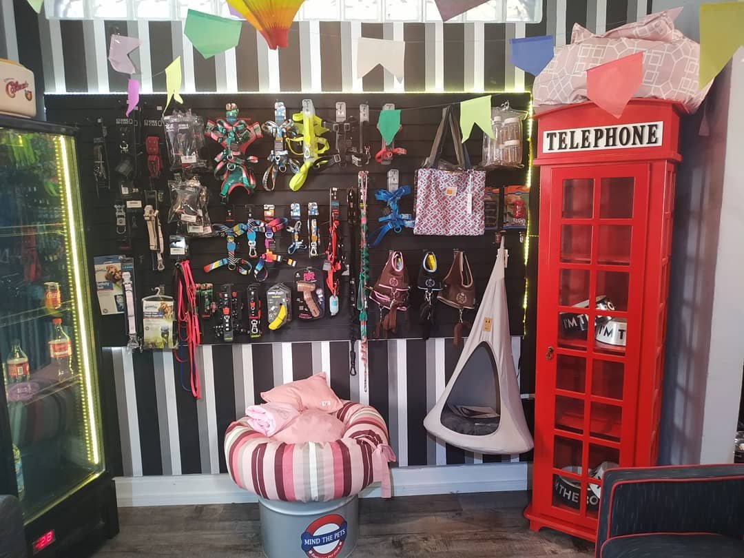Mind The Pets - Pet Shop em São Paulo