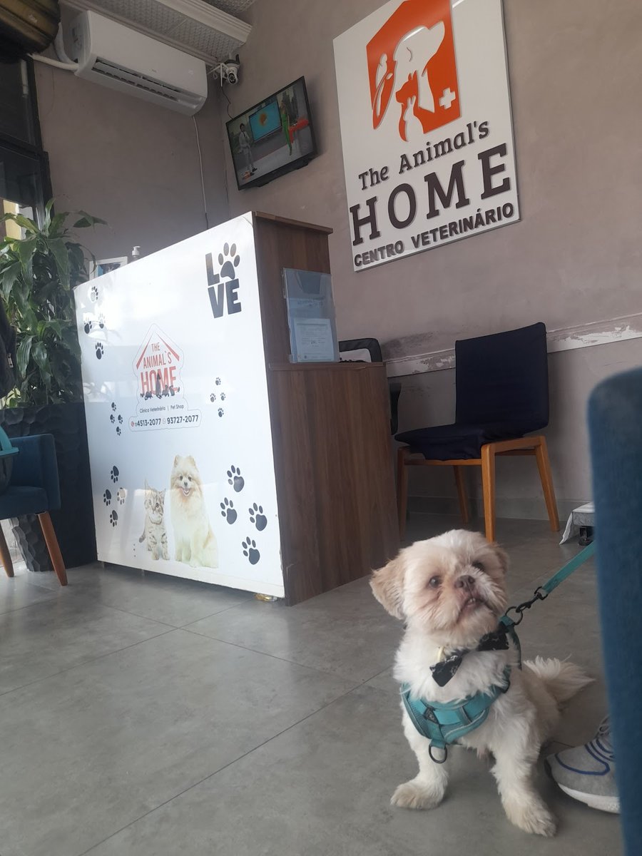 The Animal's Home