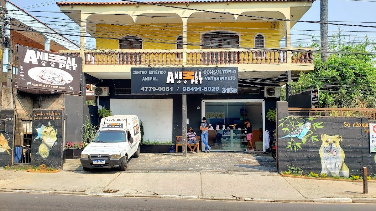 Animal Pet Banho E Tosa