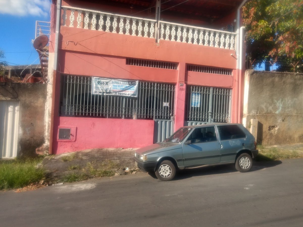 Pet X - Pet Shop in São Paulo