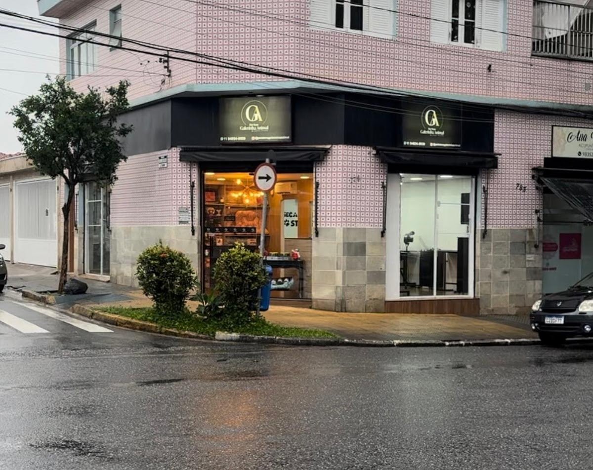 Galerinha Animal Avicultura Pet Shop