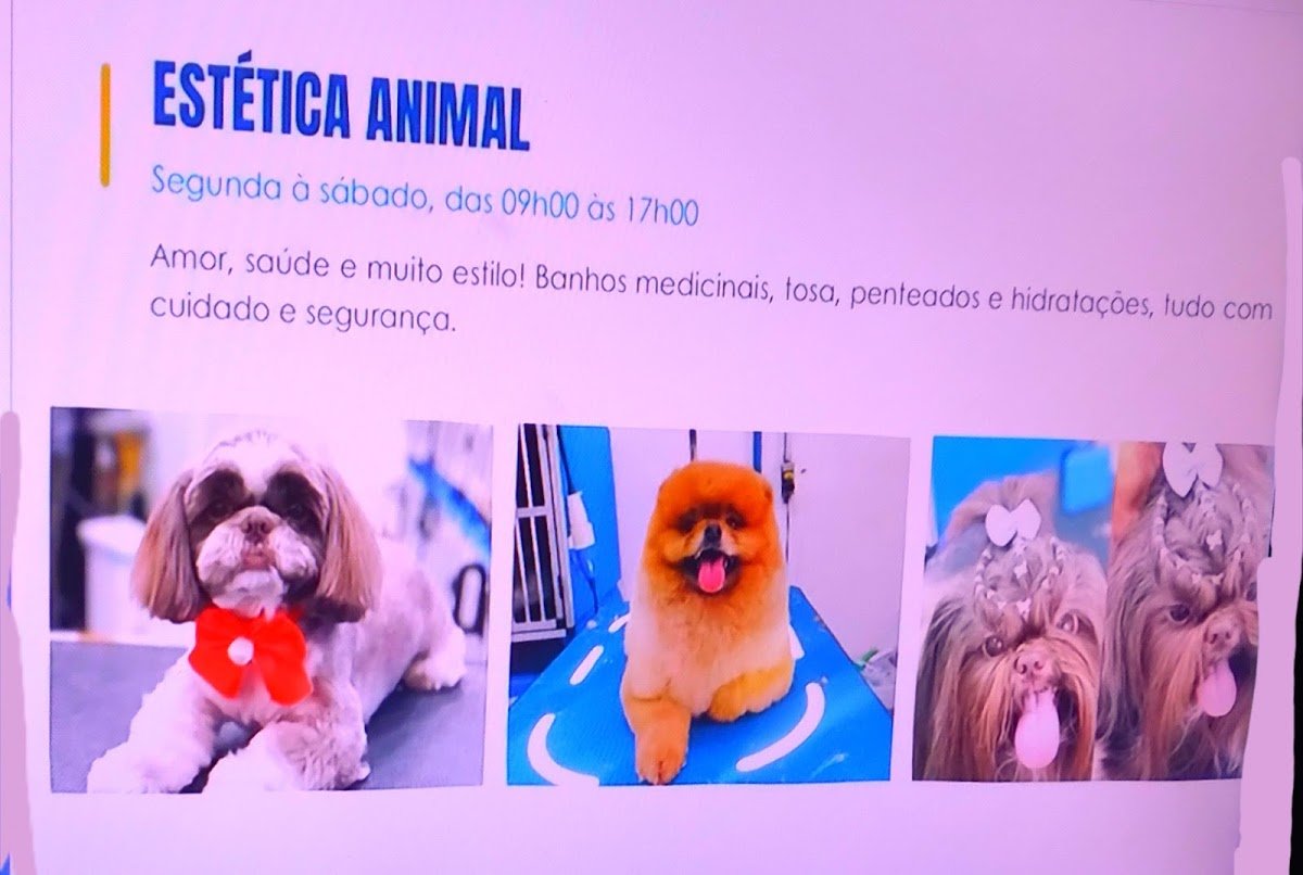 Pet Shop Cãomarada Banho e Tosa