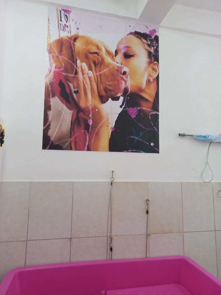 Pet Shop e banho e tosa Sobrinhos da Tia Paty