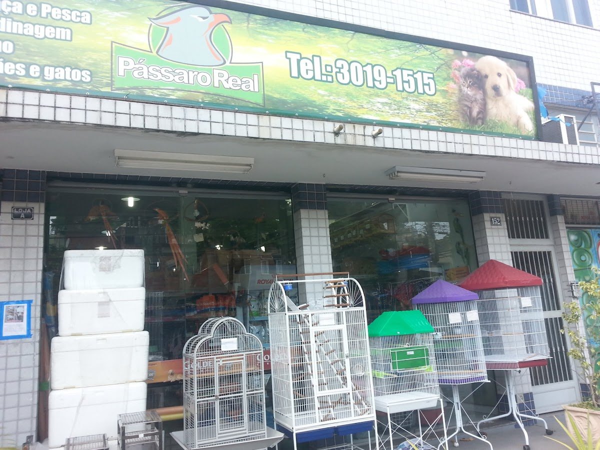 Pássaro Real - Pet Shop em anchieta