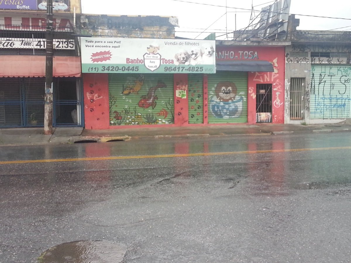 Pet Shop Any Small