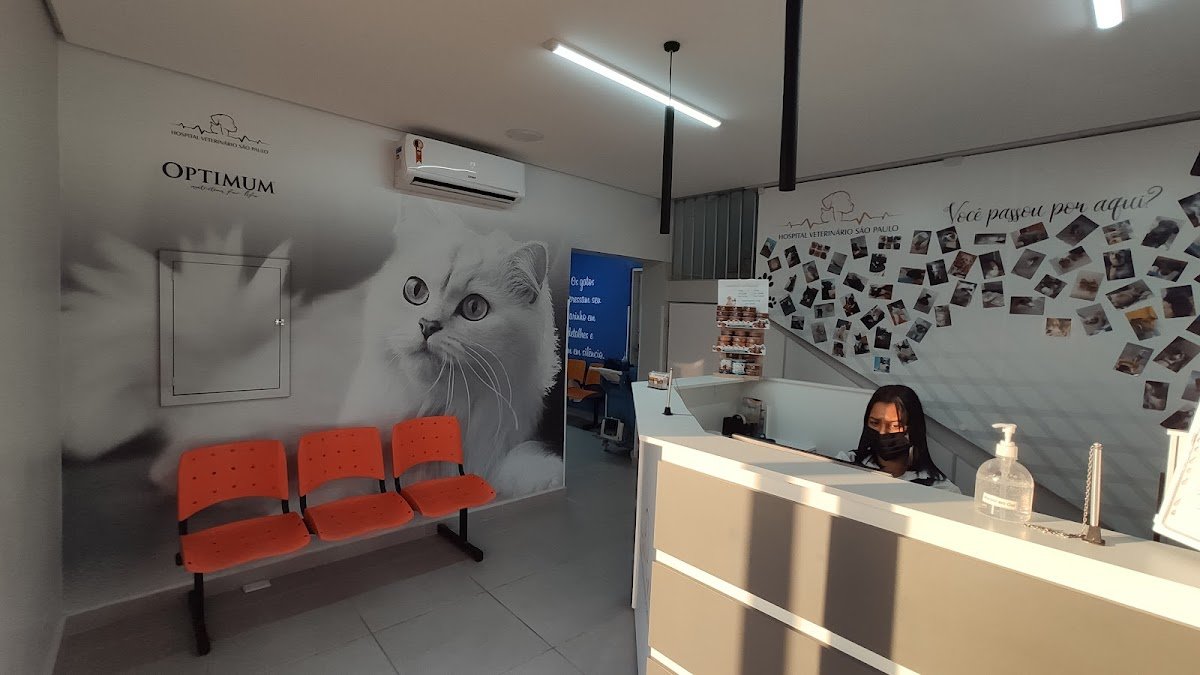 Clínica Veterinária - São Paulo