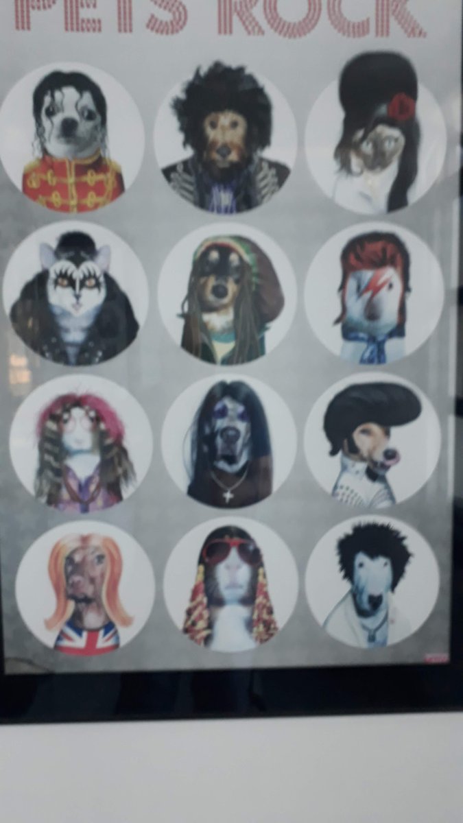 Veterinária São Geraldo